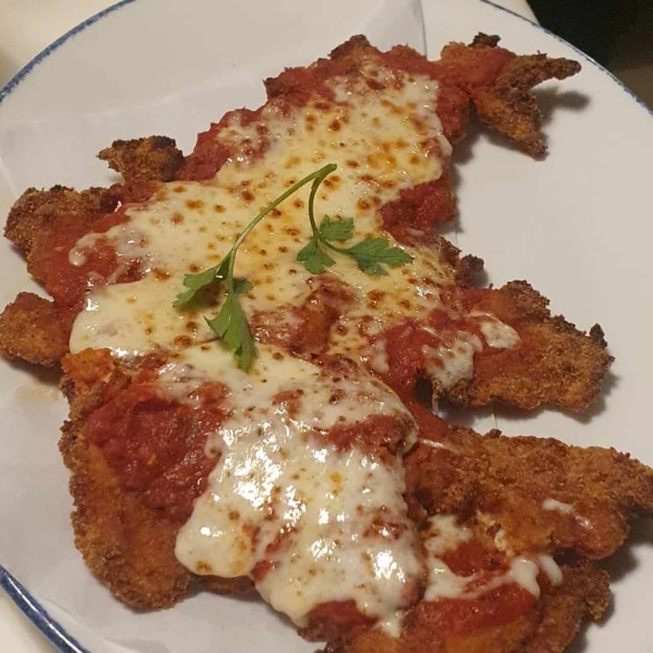 Secondi Piatti - Milanesa de pollo