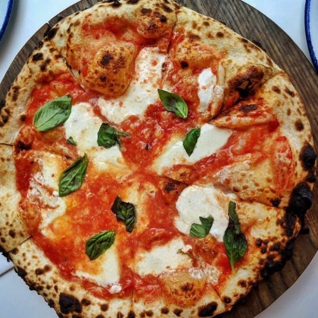 Pizza margherita napolitana