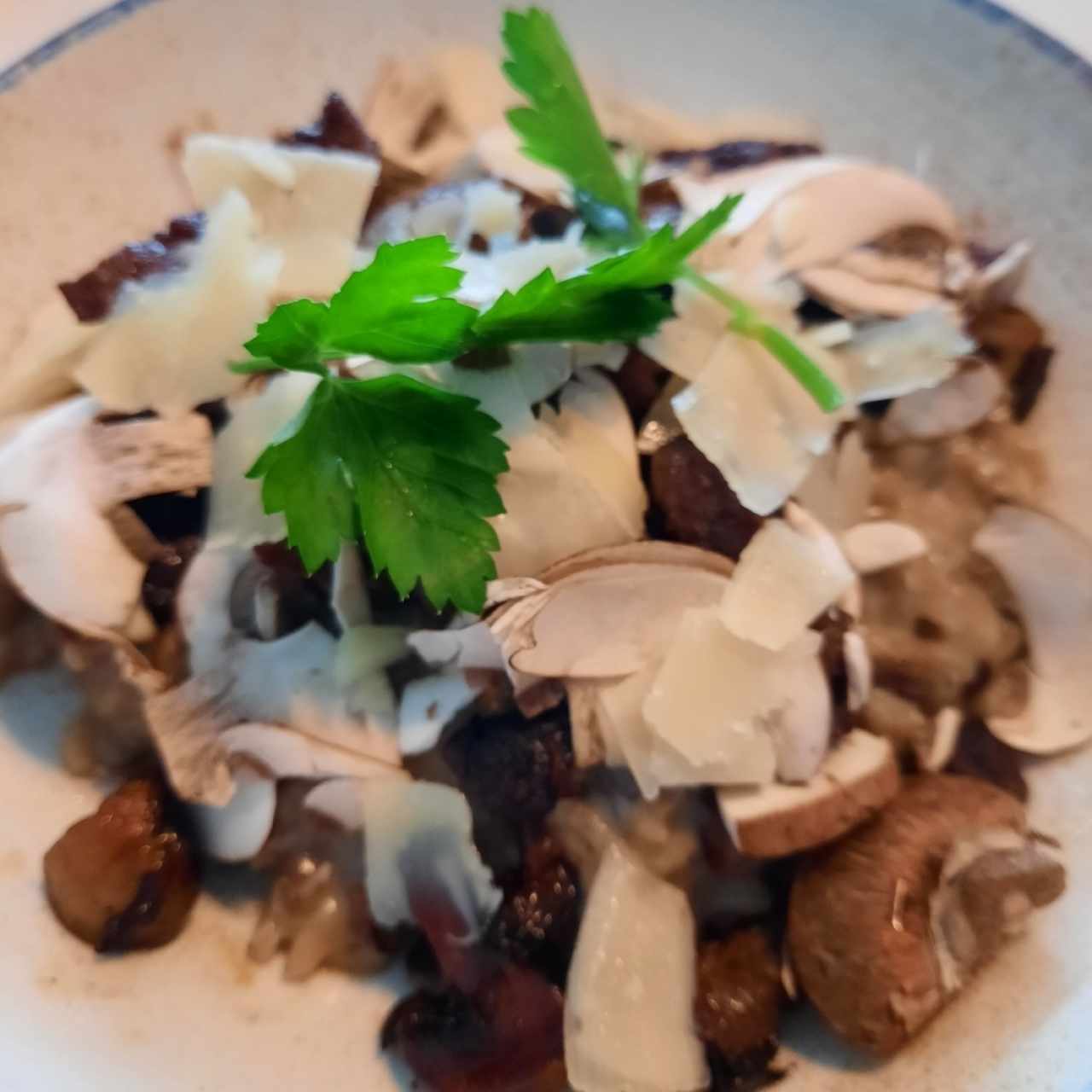 - Risotto Funghi