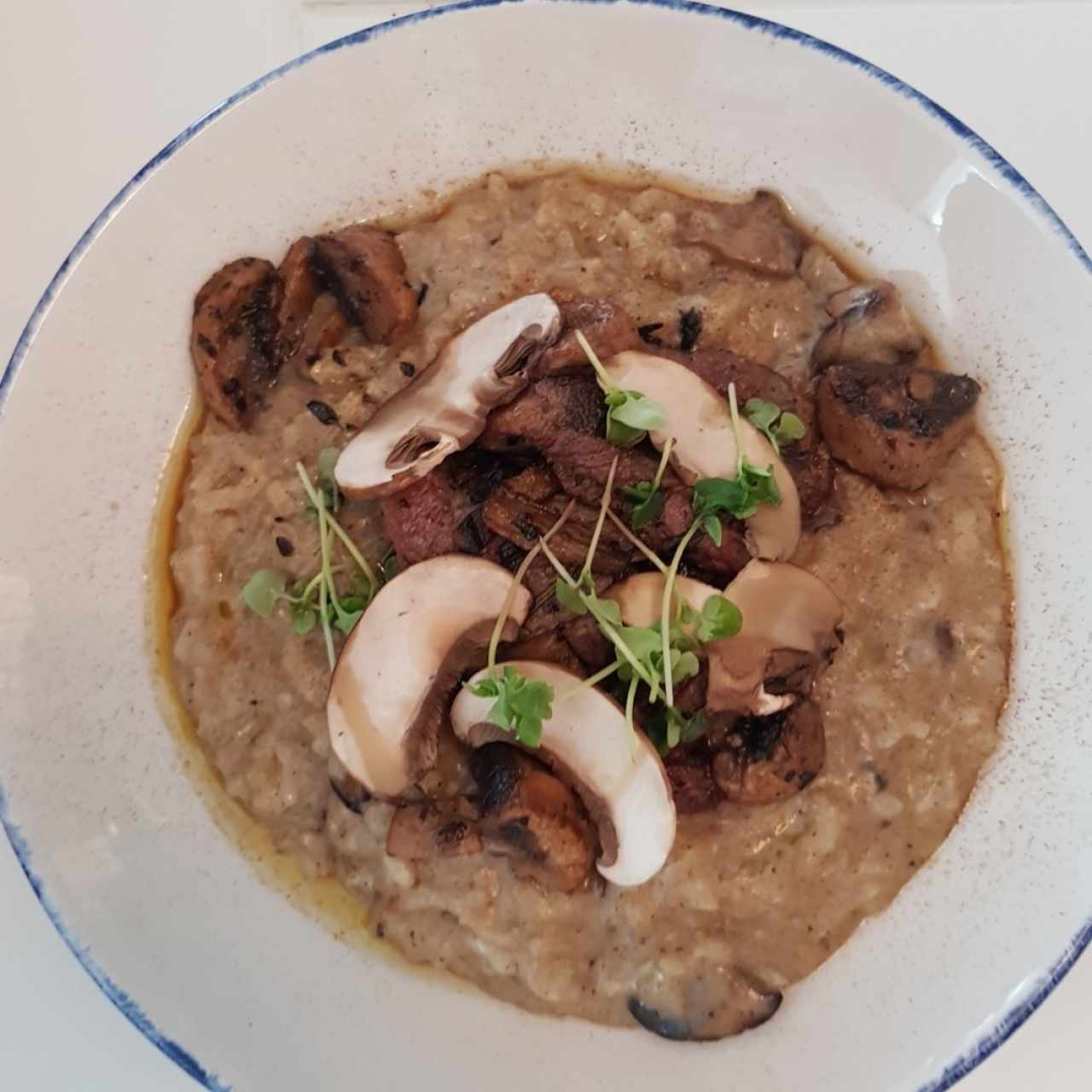 Risotto de Filete e Funghi