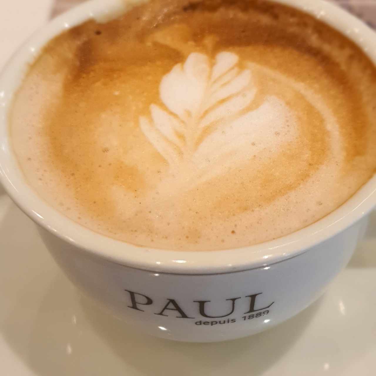 capuchino 