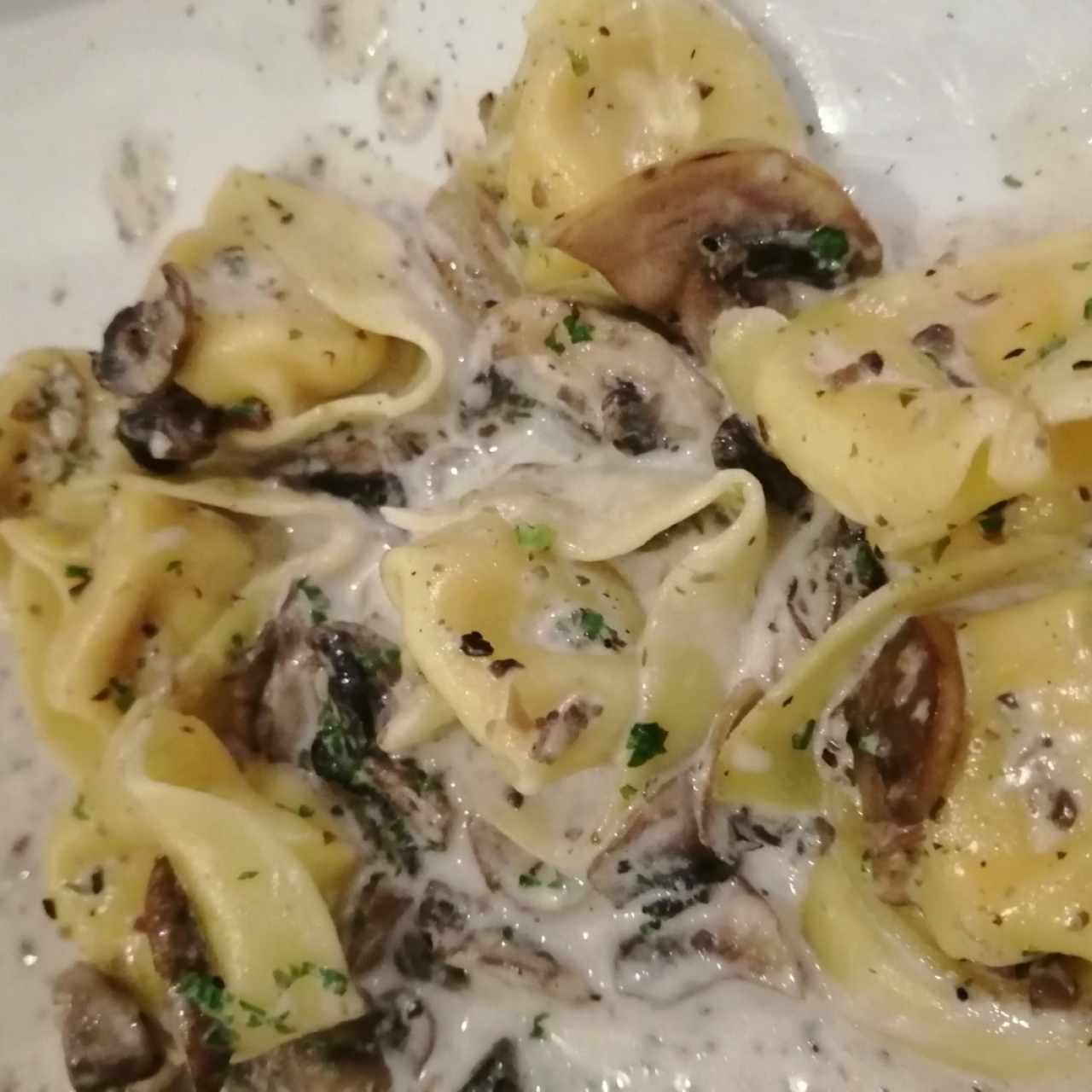 Tortellini funghi porcini (son de ricotta) en salsa de funghi
