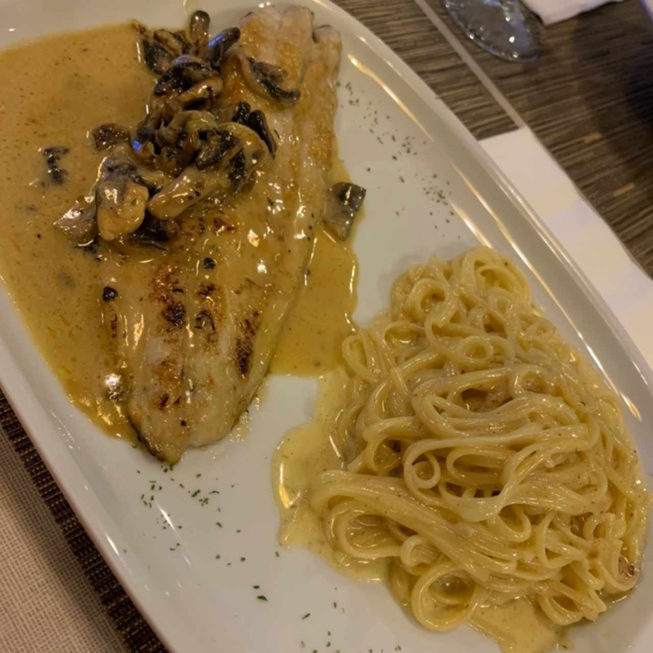 Corvina en Salsa de Cognac y pasta con salsa blanca