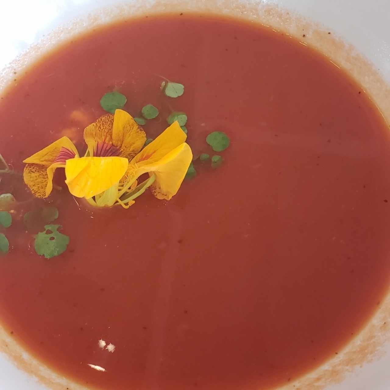 sopa de tomate