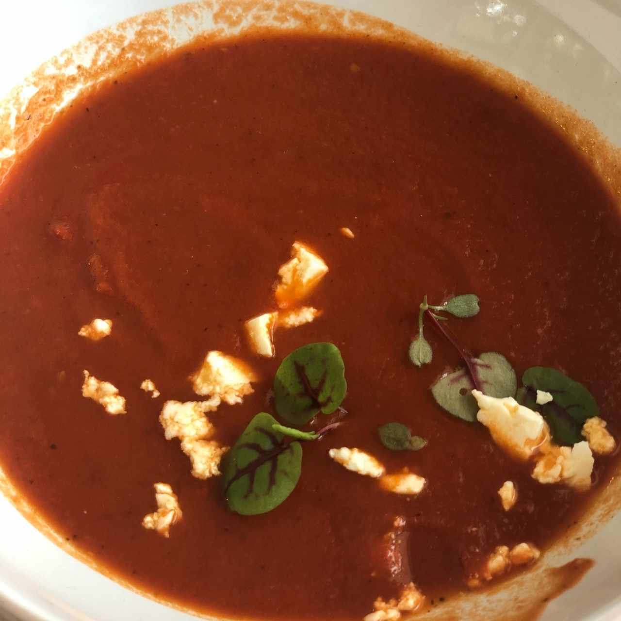 sopa de tomate