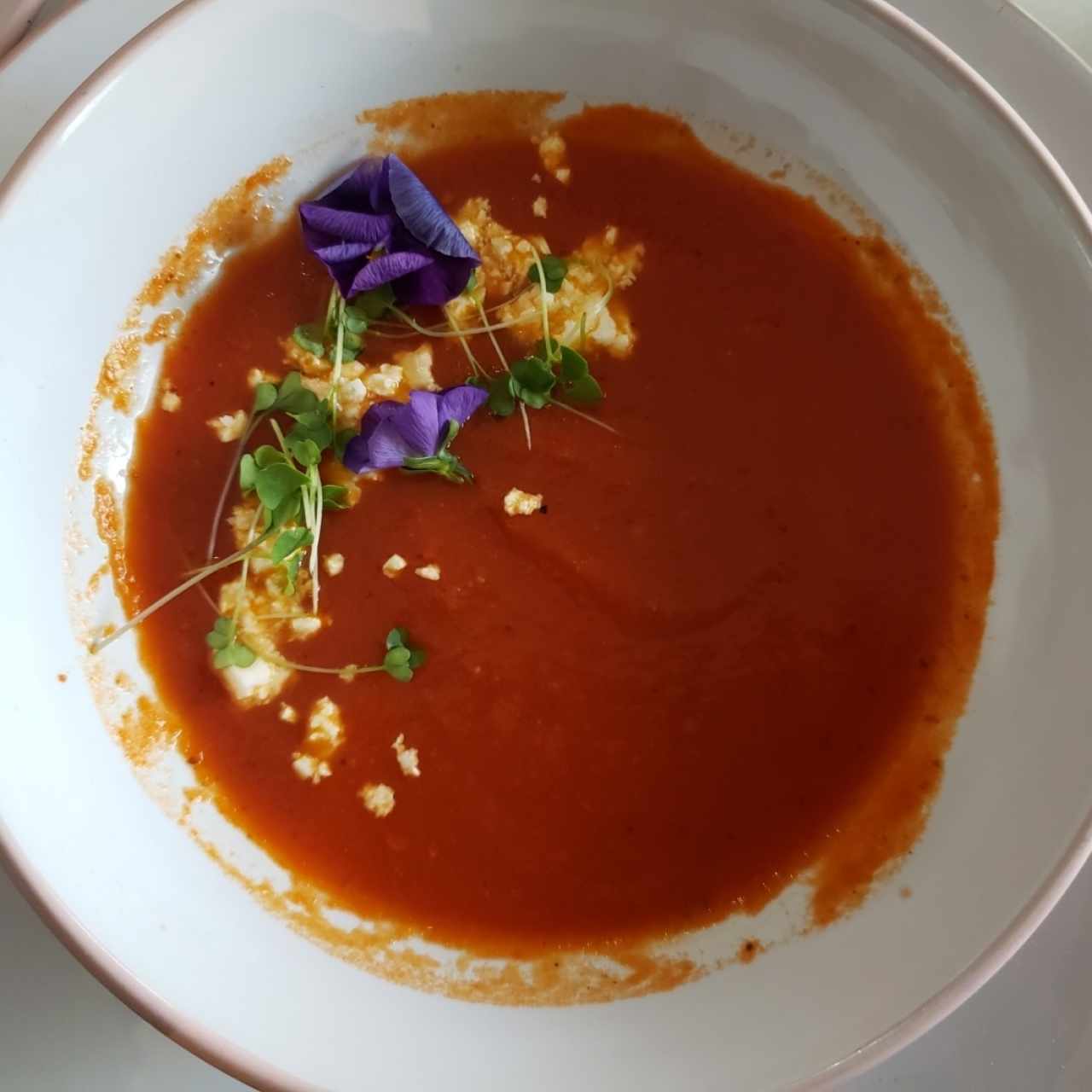 Sopa de Tómate 