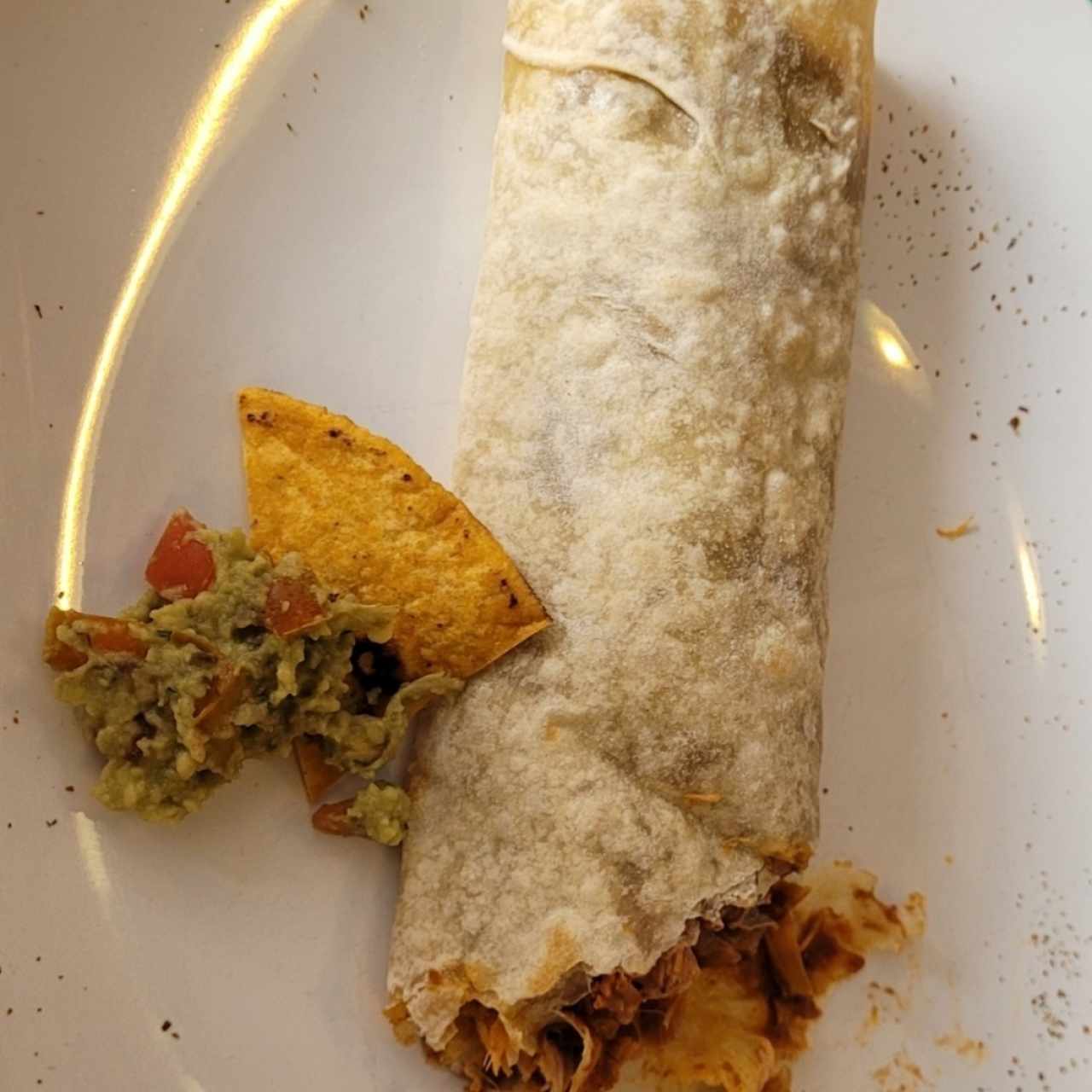 Platos Fuertes - Burrito