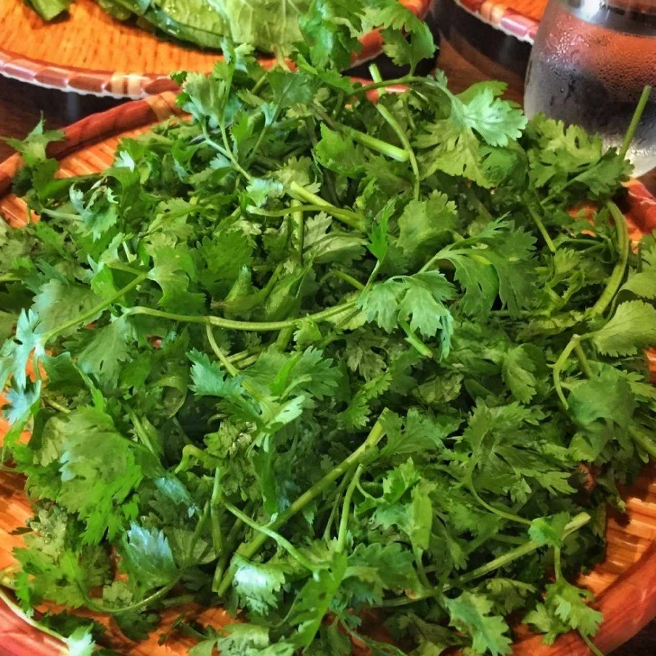 Cilantro