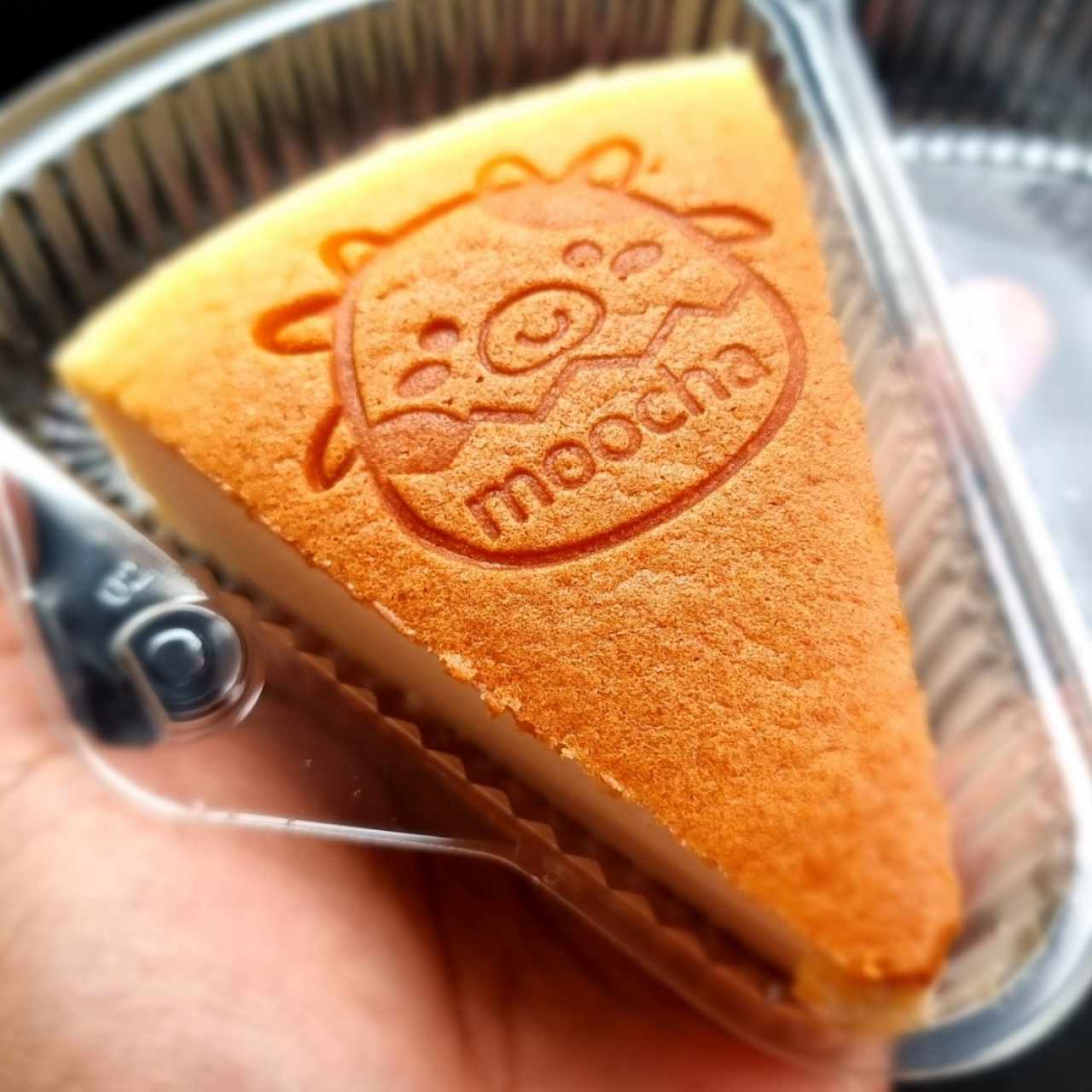japanese cheesecake