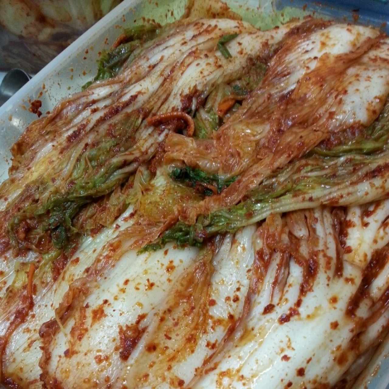 kimchi tradicional