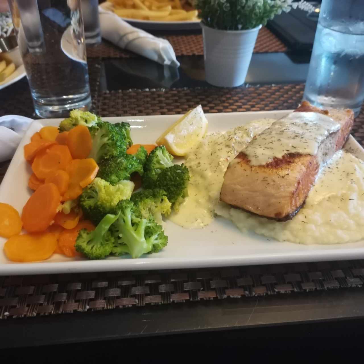 Salmon