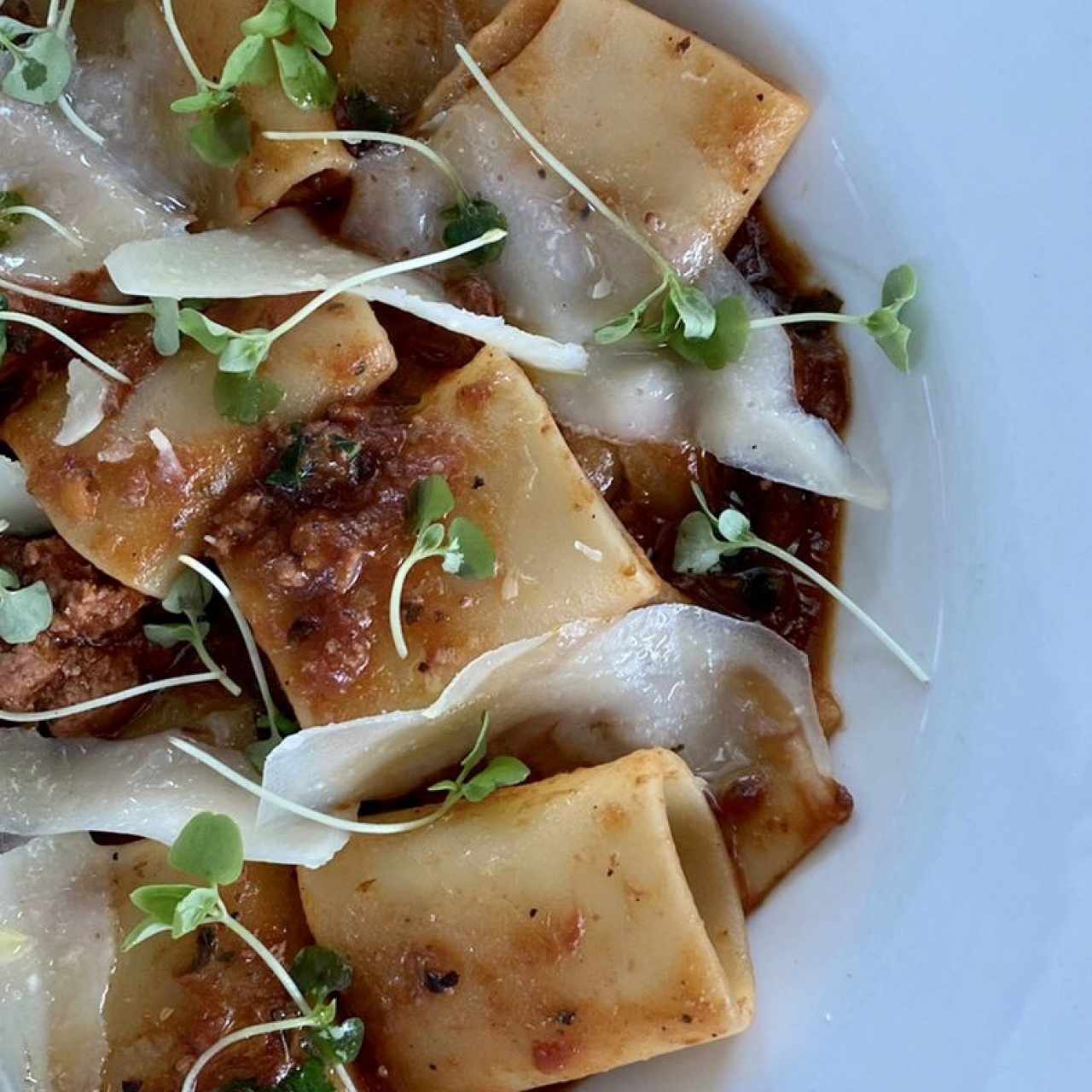 Paccheri Bolognese