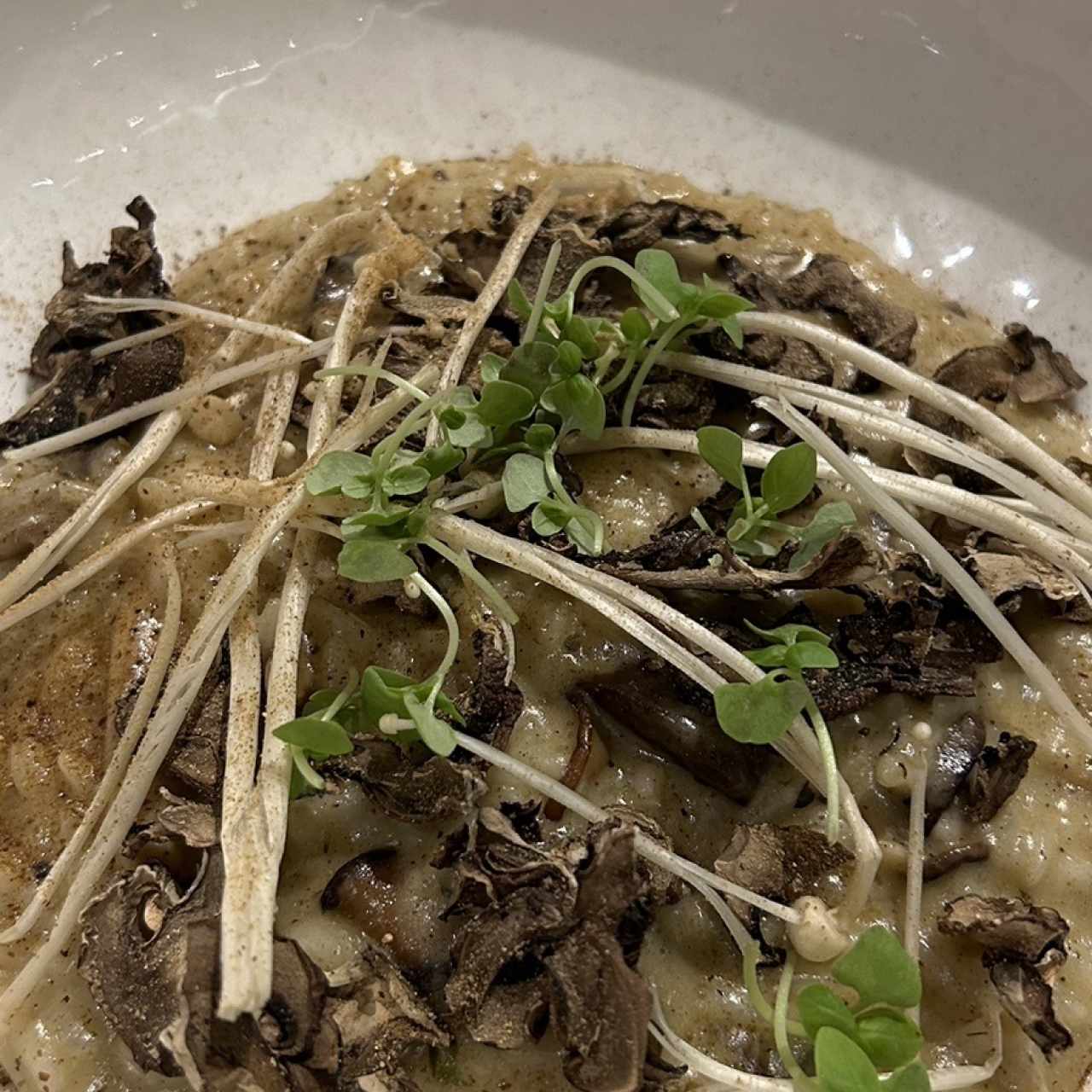 Risotto Hongos