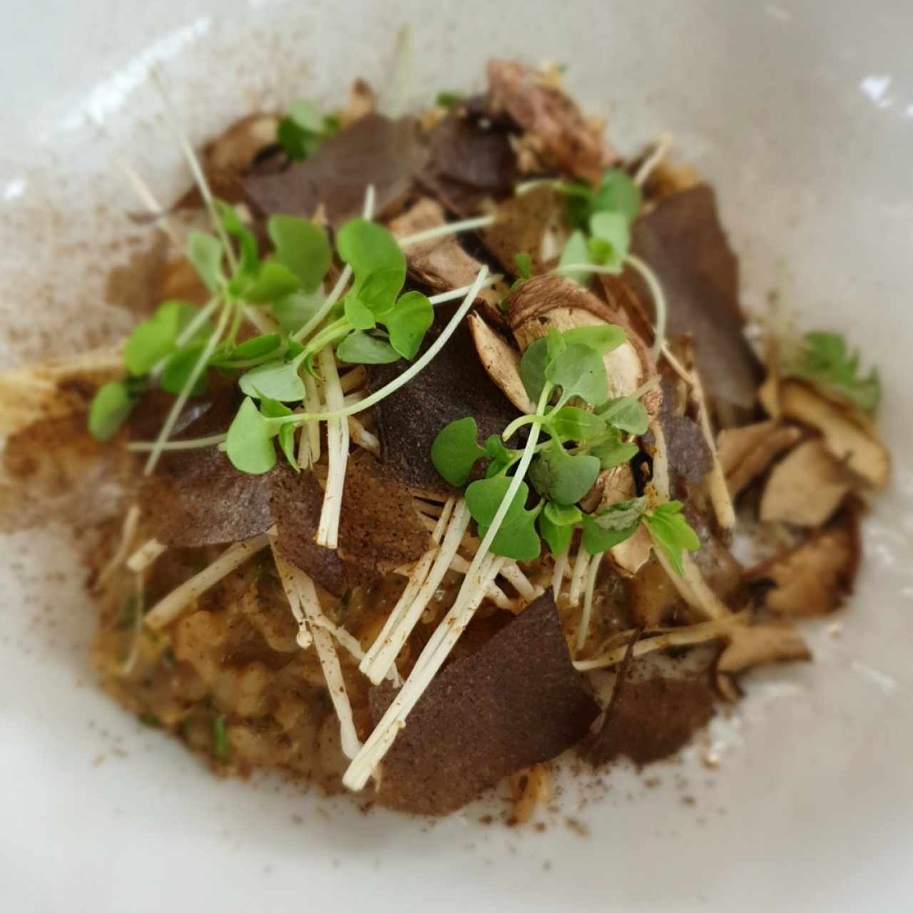 risotto de hongos