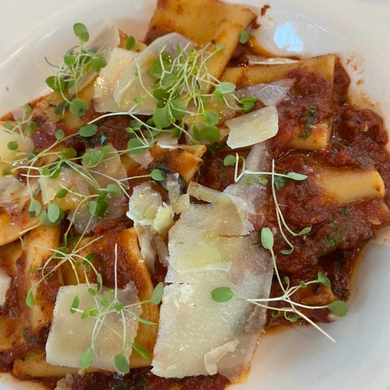 Paccheri Bolognesa