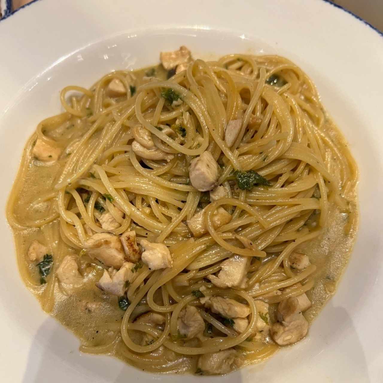 Pasta al olio extra de pollo