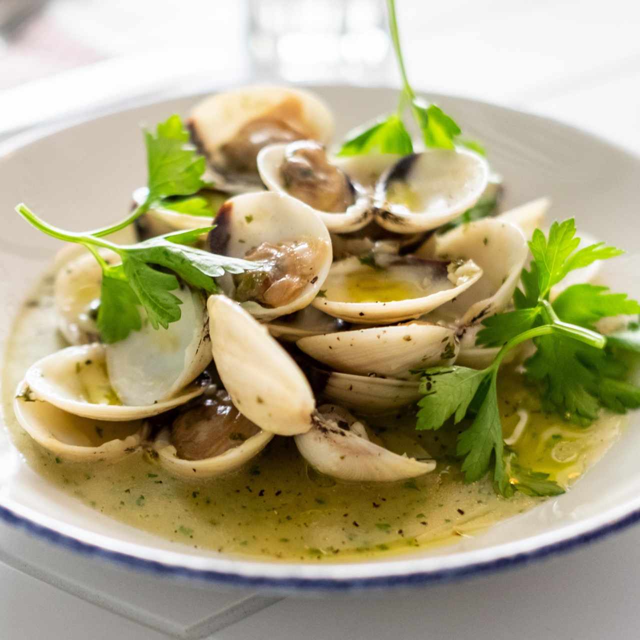 Vongole