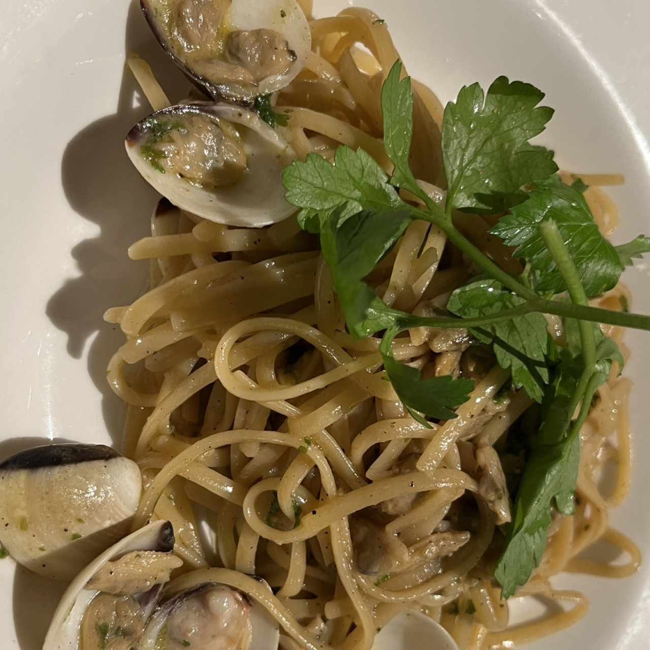 Pastas - Linguini Vongole