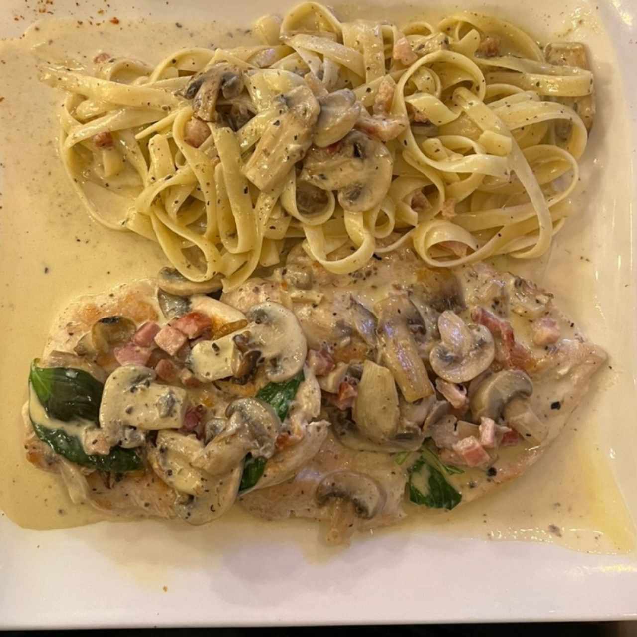 Pechuga de Pollo Tartufada con pasta