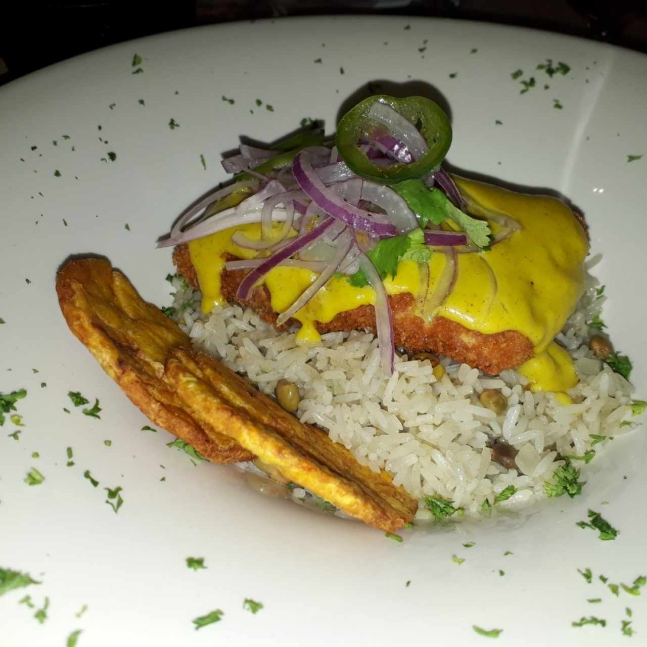 Arroz con guandu y filete de peecado en salsa curry