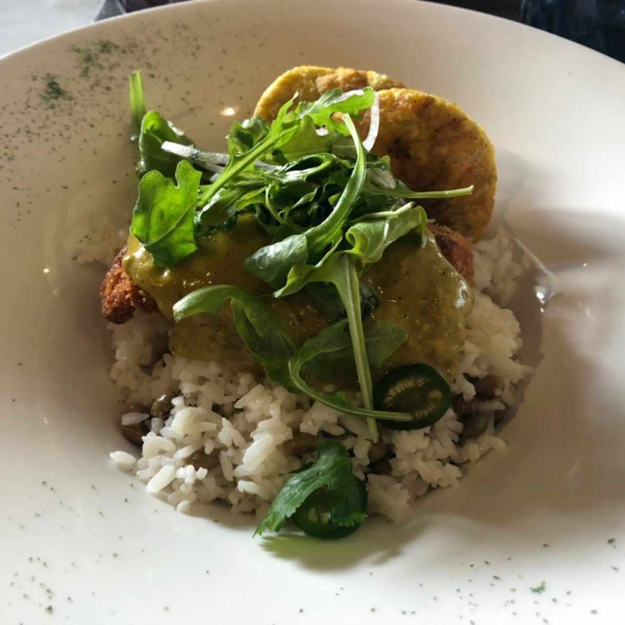 Corvina Coco Curry