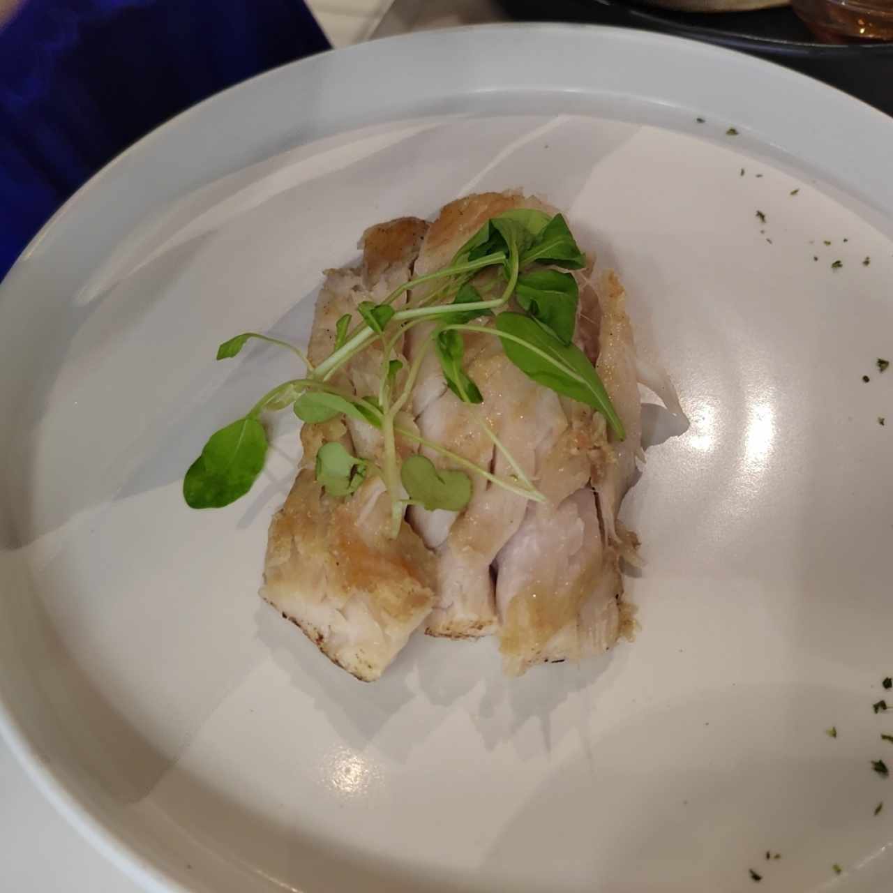 Corvina a la plancha