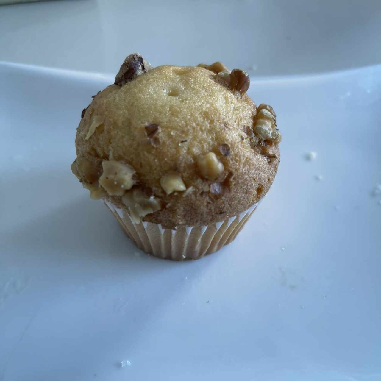 Mini Cupcakes de Vainilla