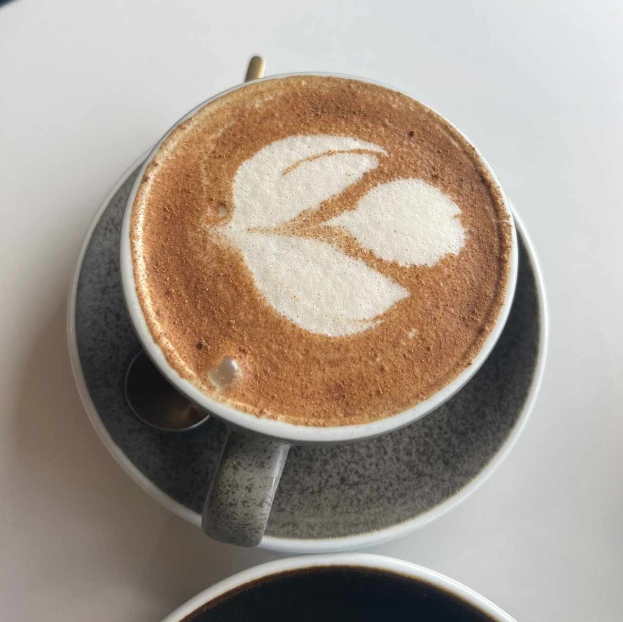 Café Tradicionales - Cáscara Latte
