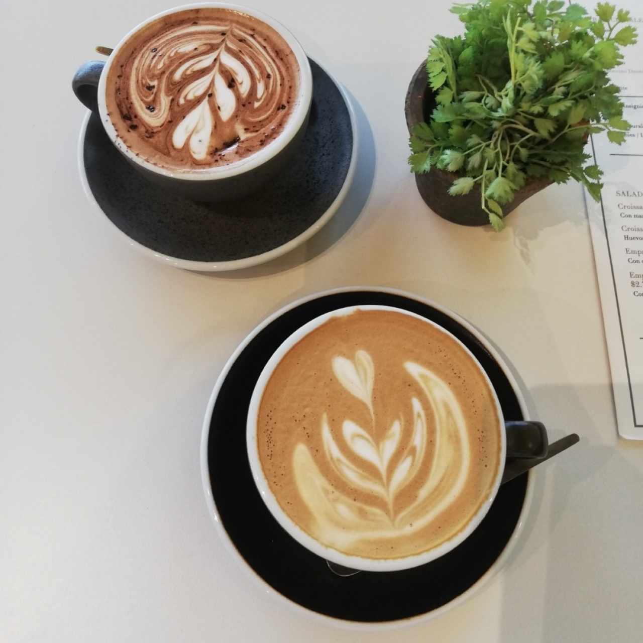 Café / Tradicionales - Cappuccino Danés