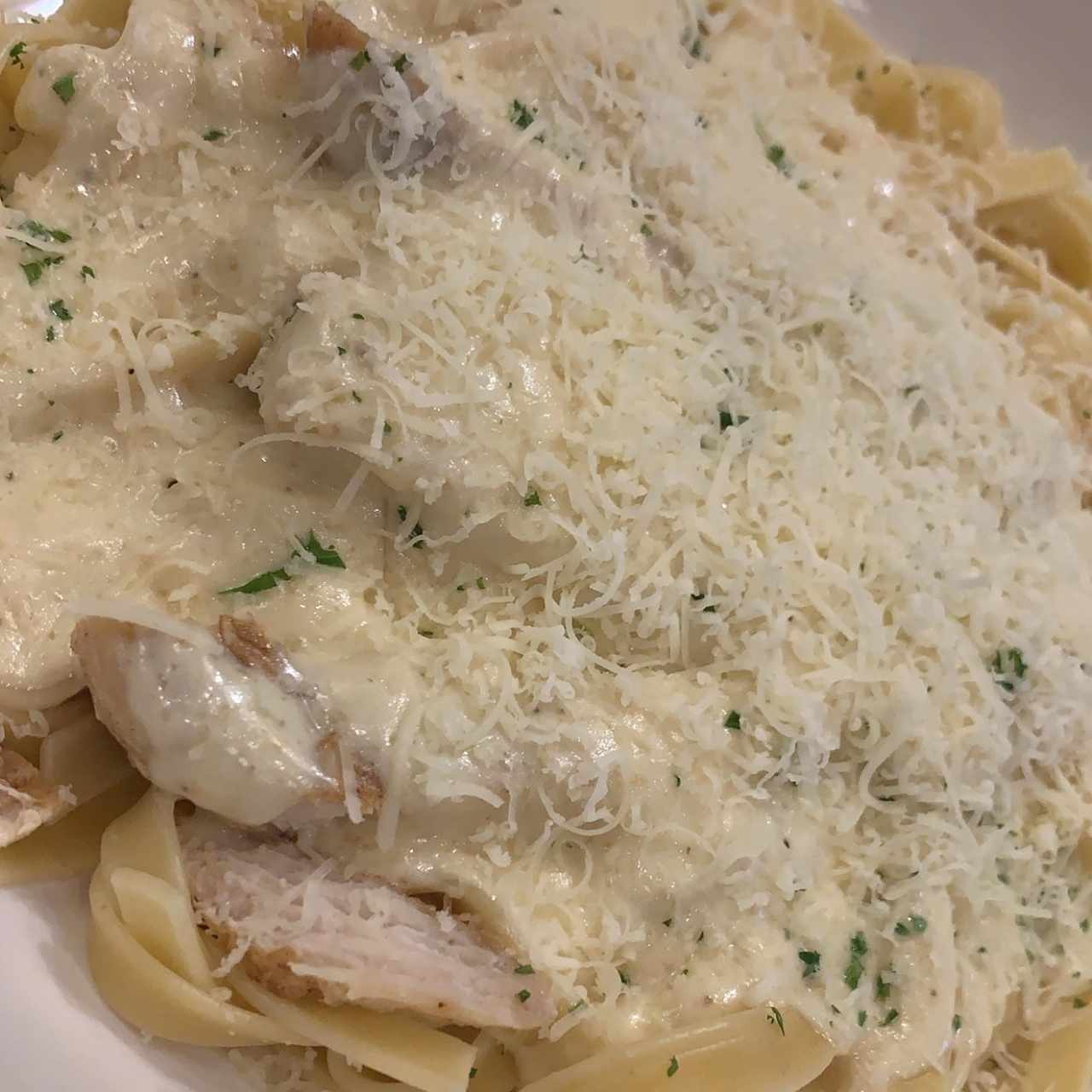 Fettucini Alfredo con Pollo