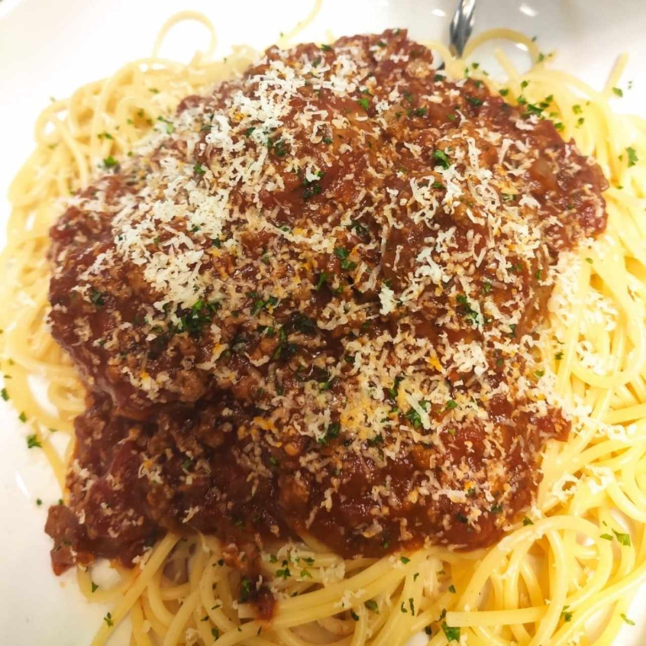 Spaghetti con carne molida y boloñesa