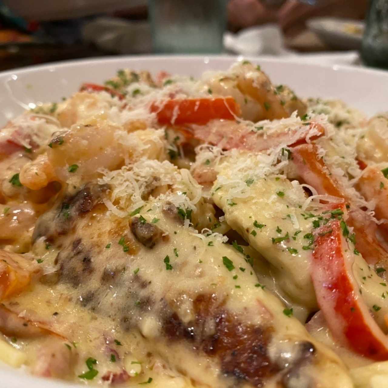 chicken and shrimp alfredo pasta