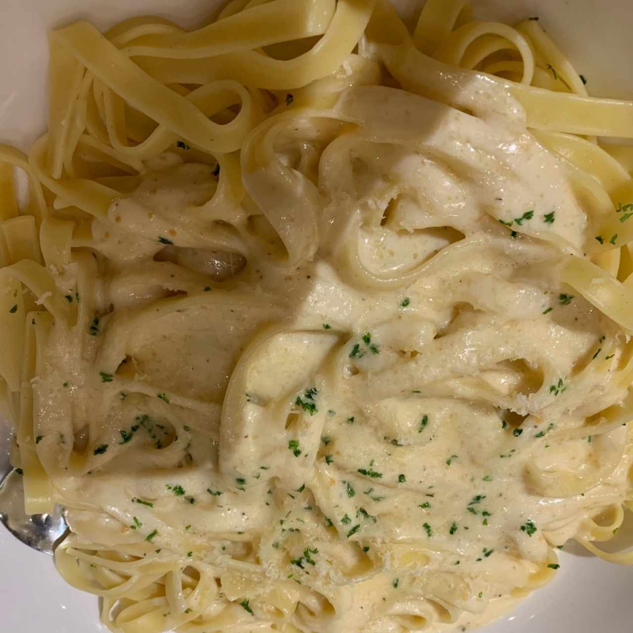 pasta alfredo