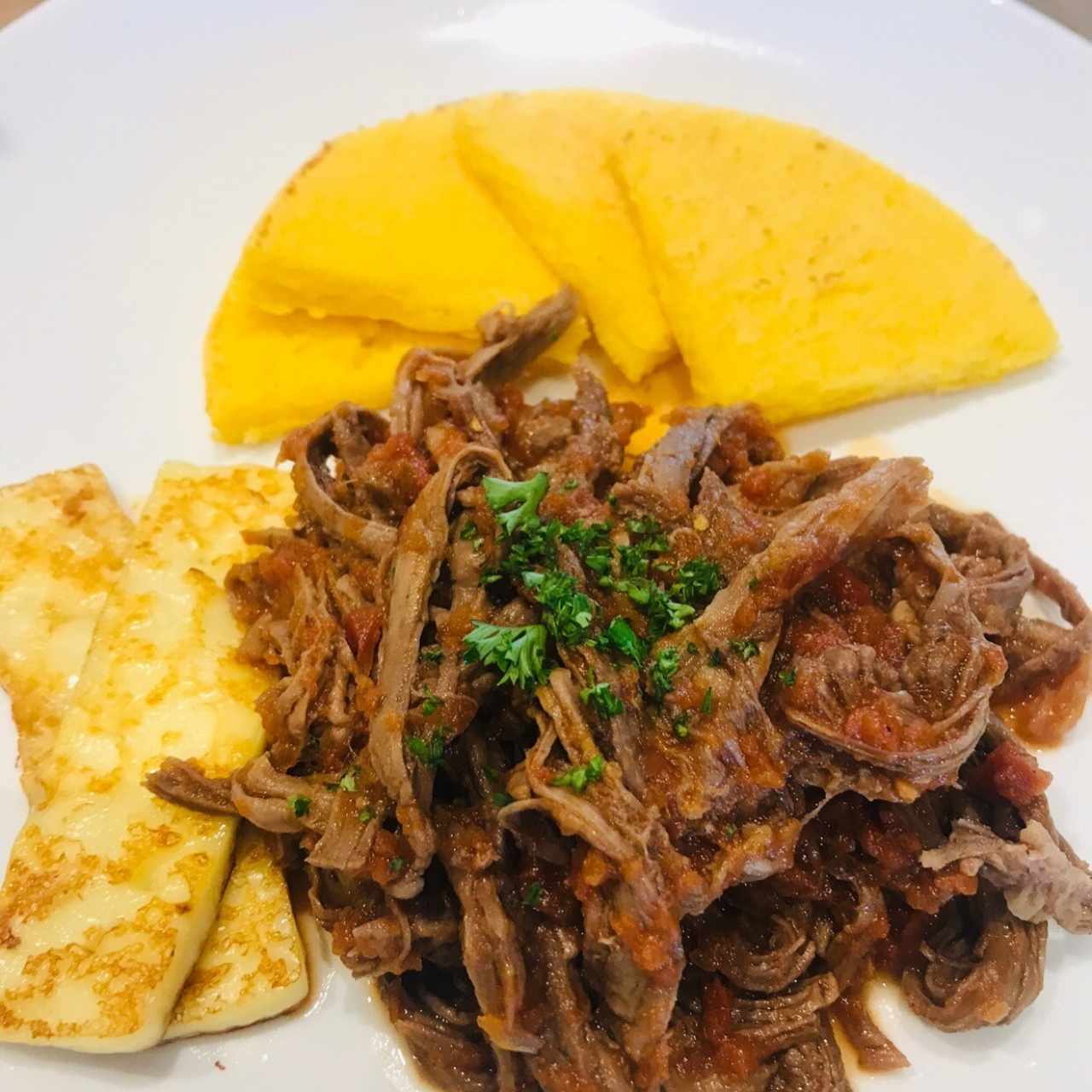 ropa viejancon tortilla y queso del pais 