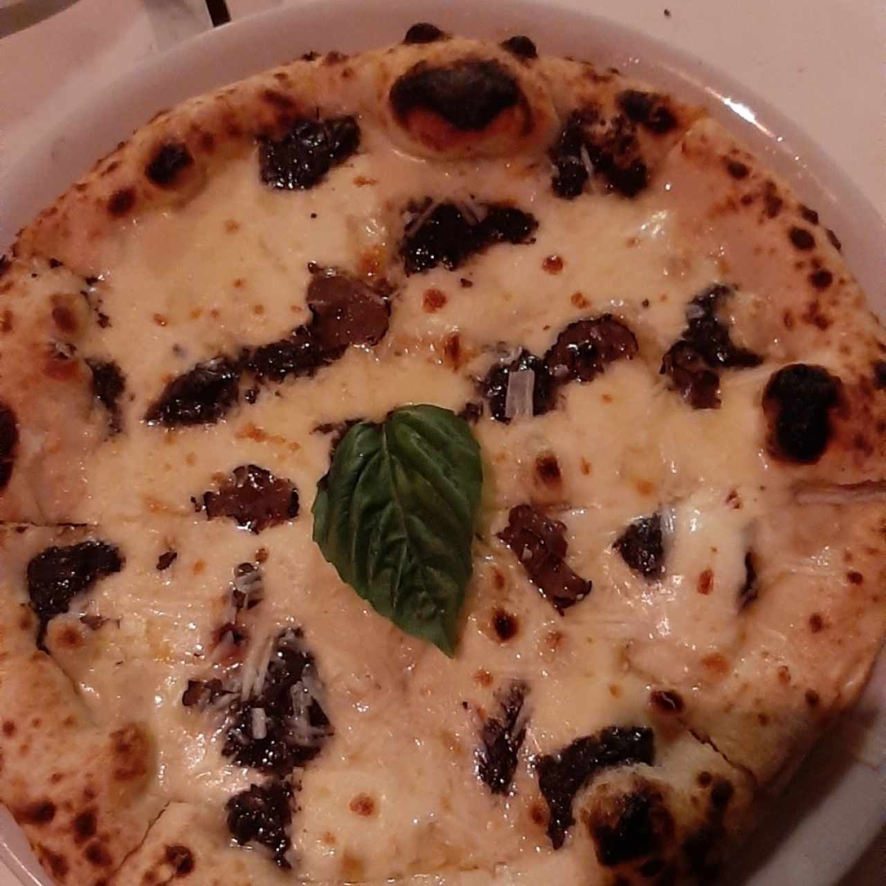 pizza de tartufo