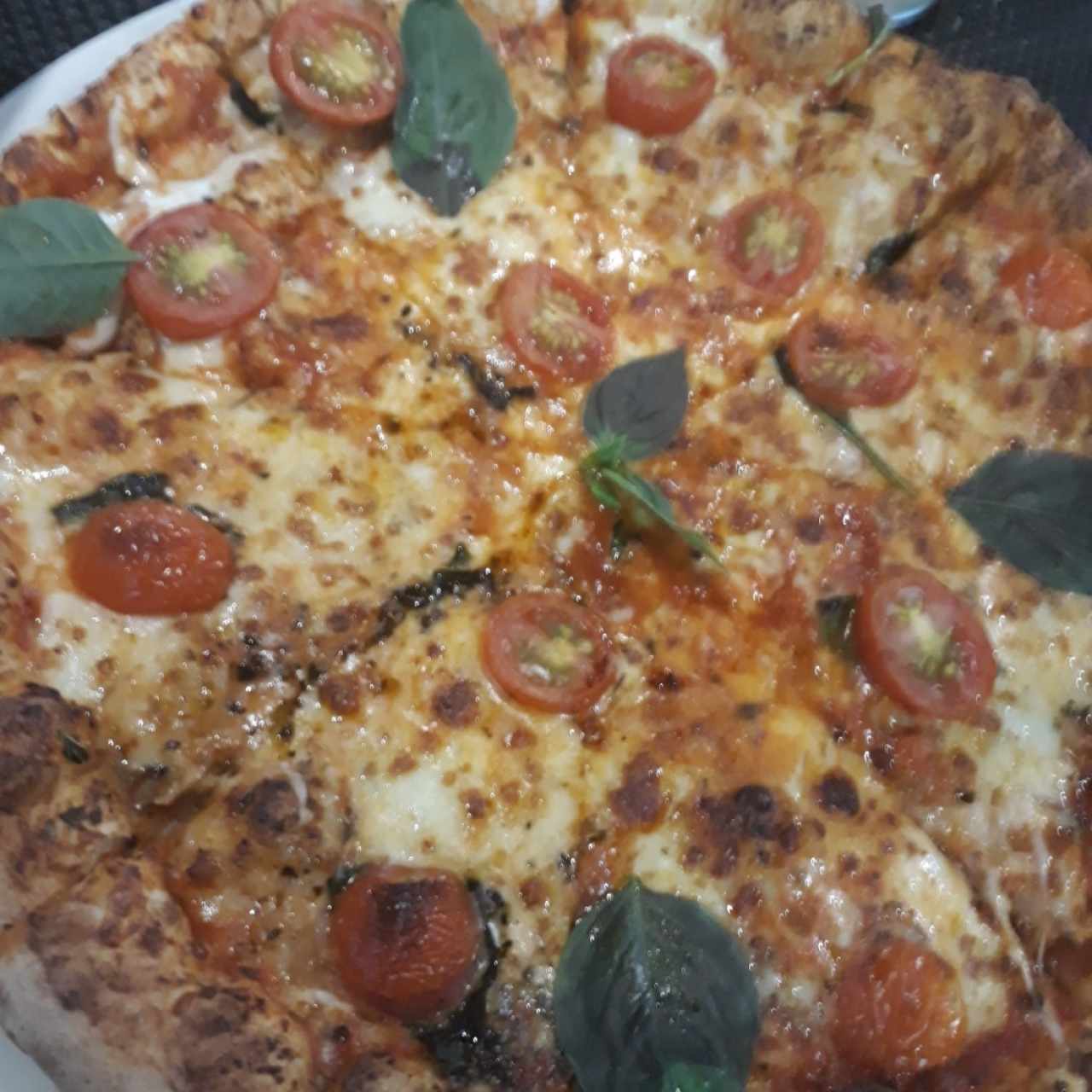 pizza margherite