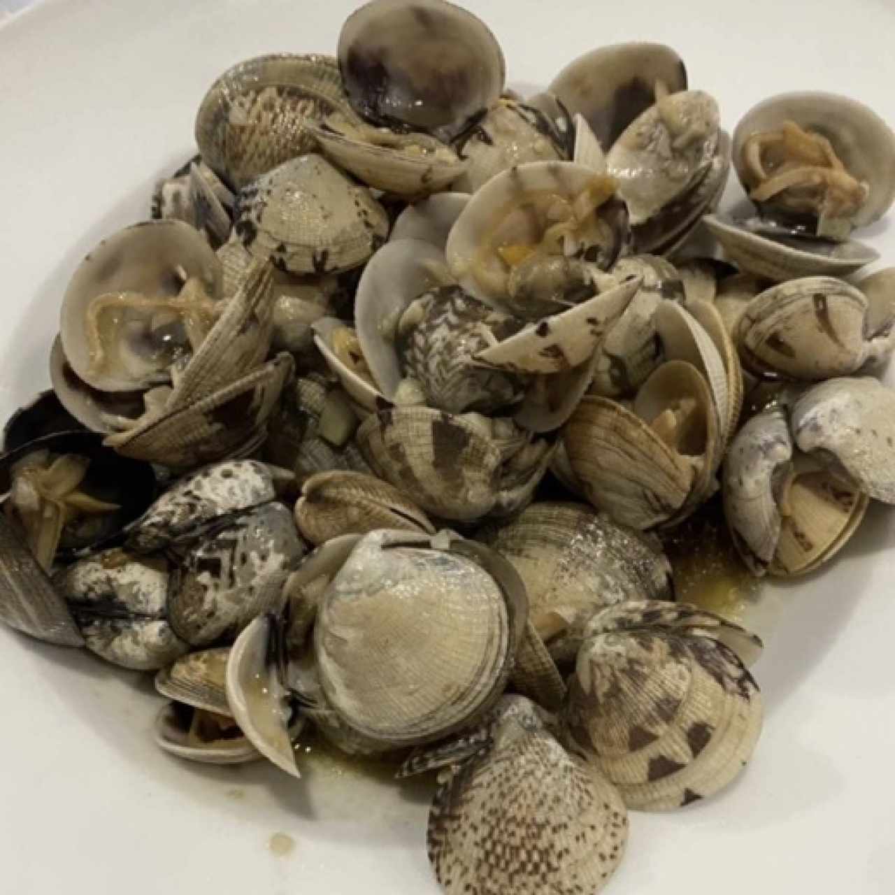Almejas a la ajillo