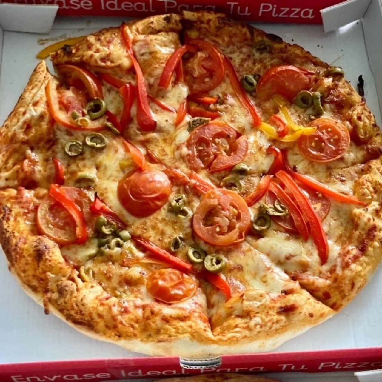 Pizzas - Pizza con Vegetales