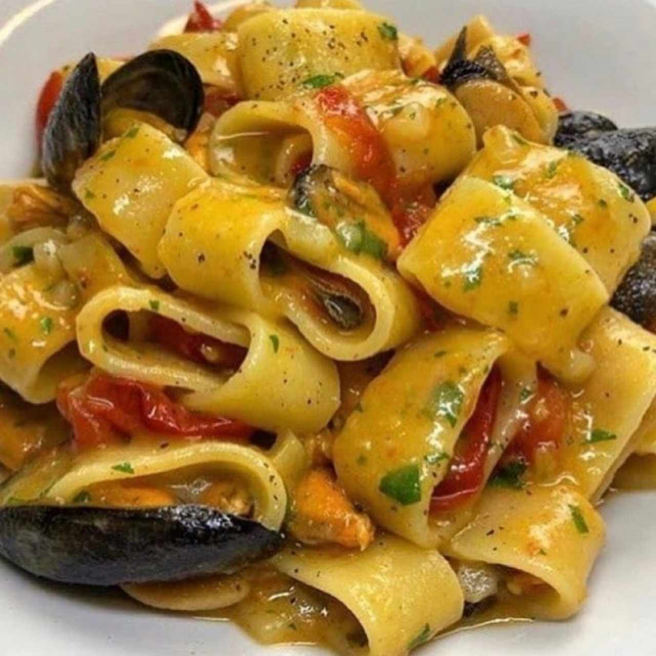 PACCHERI ALLA PESCATORE MACCHIATO 