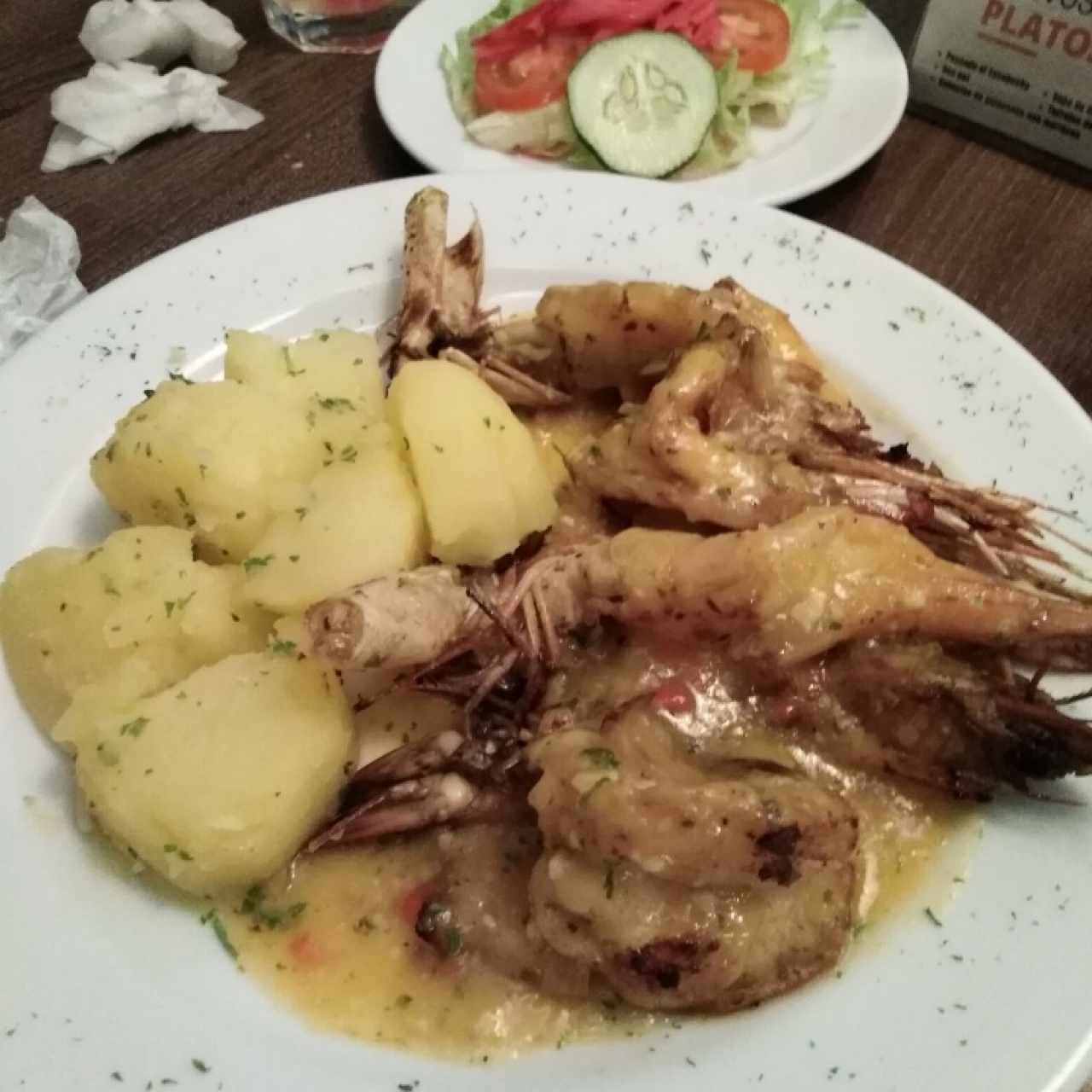 Langostinos /Jumbo Grilled Shrimps al ajillo