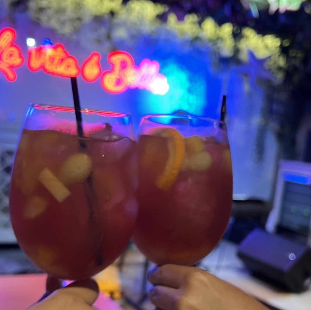 Sangria rose