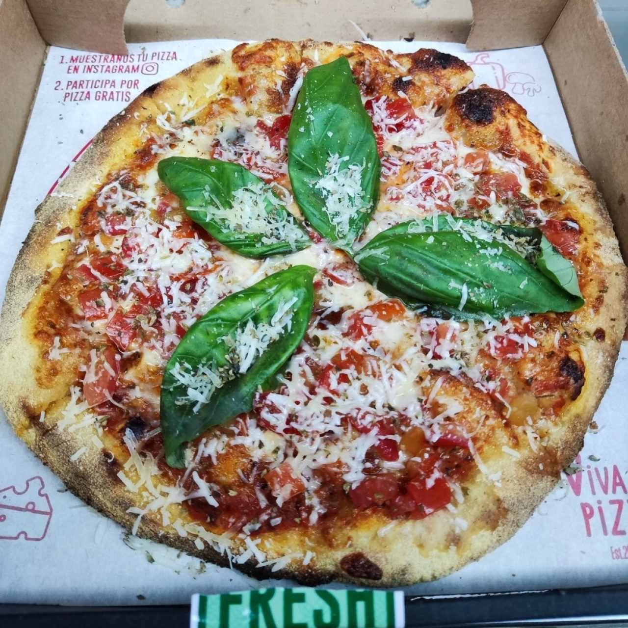 Pizzas - Giancarlina