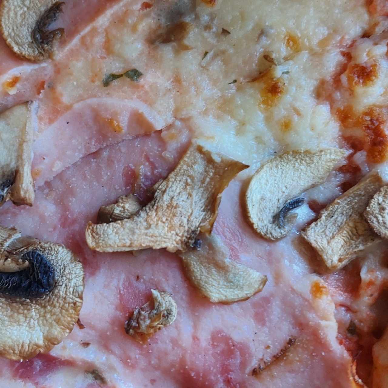 pizza de hongos y jamón 