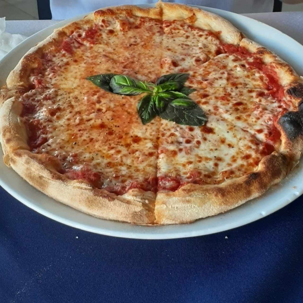 Pizzería - Margherita (Promoción)