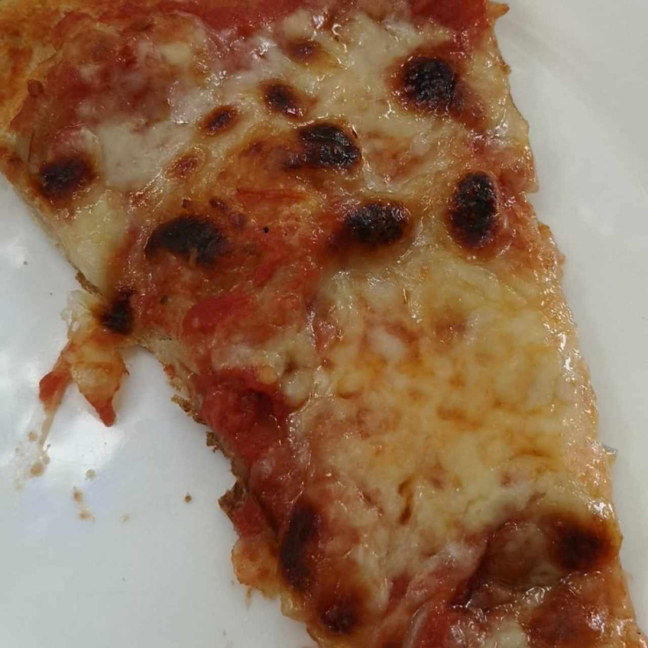 pizza de queso 