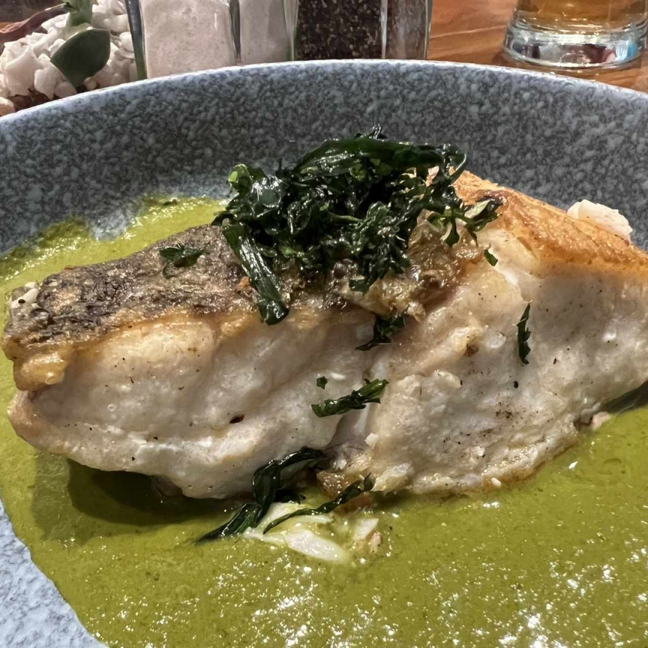 Pesca del Día - Corvina