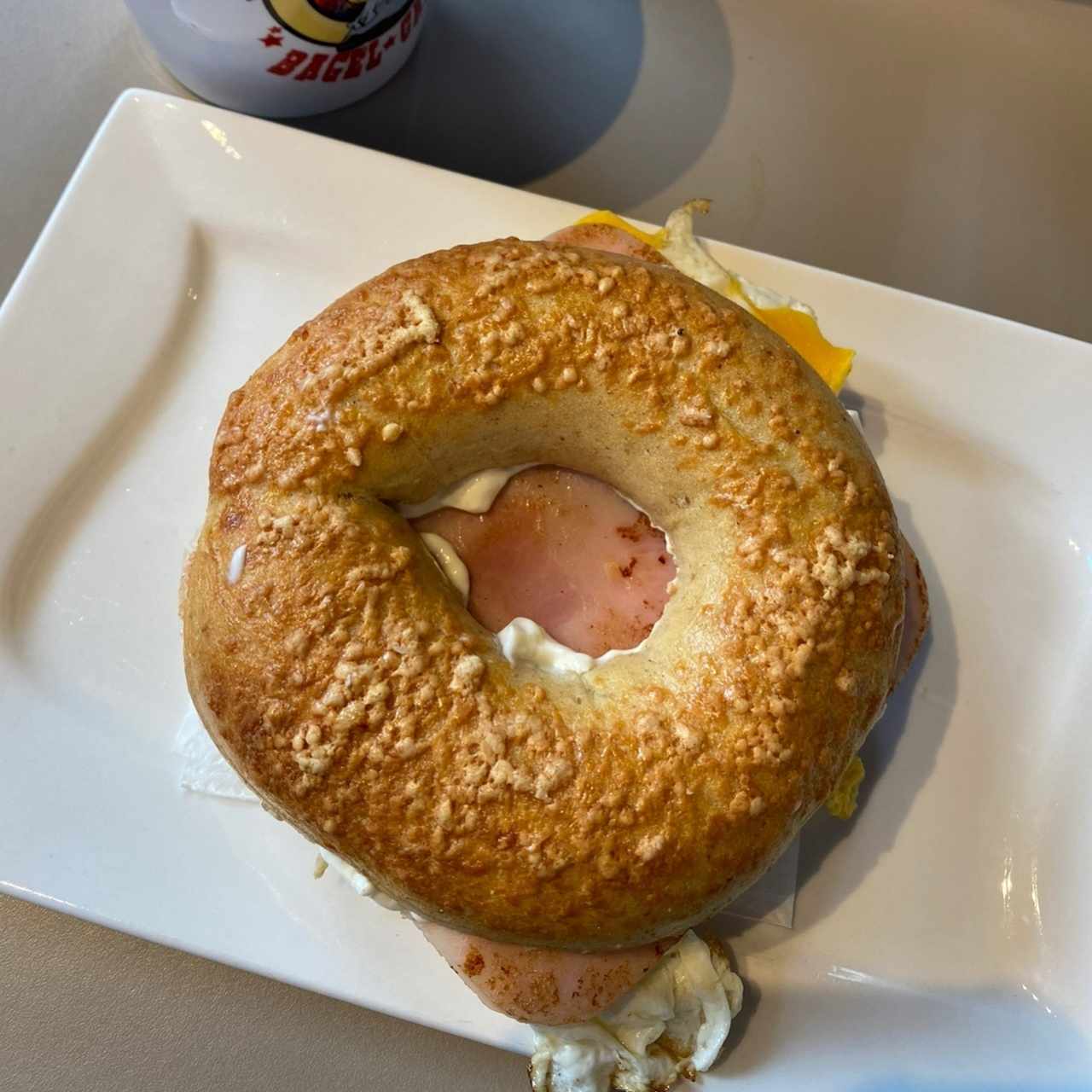 All American (parmesan bagel + plain cream chesse)