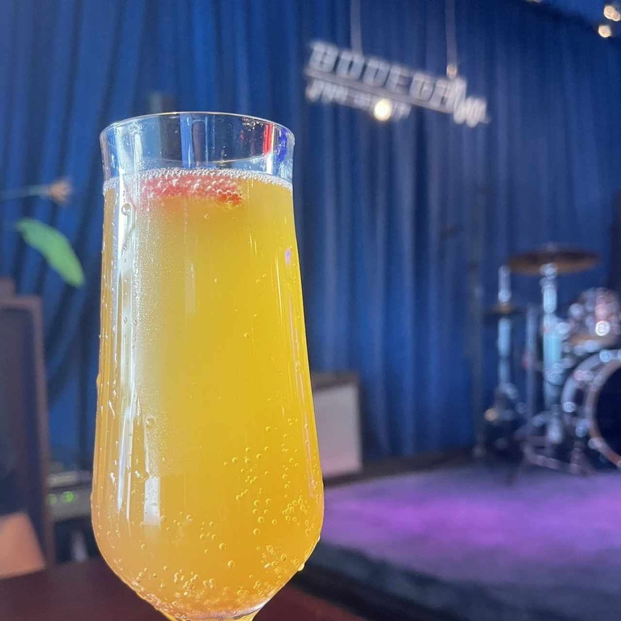 Red mimosa