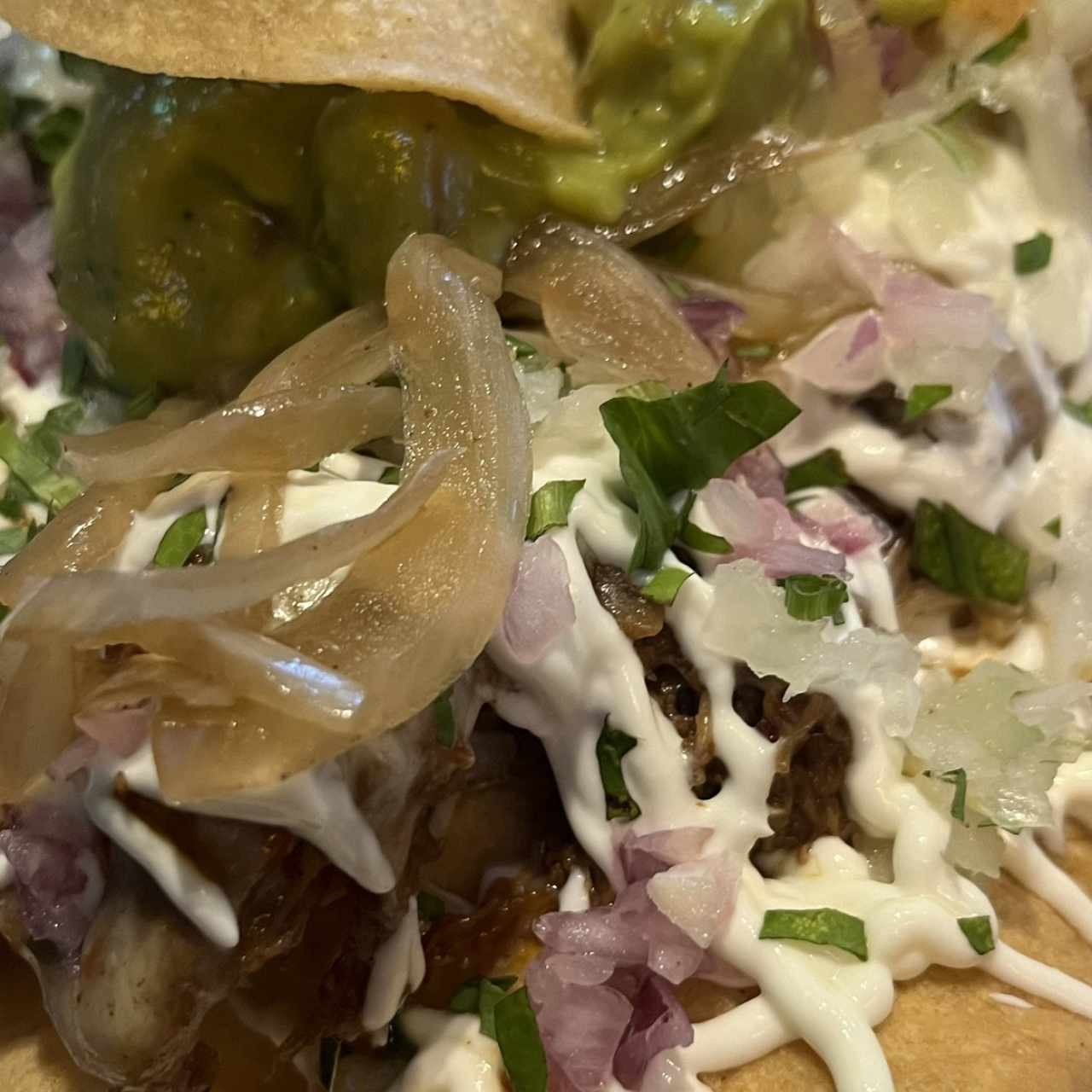 Birria - Nachos de birria