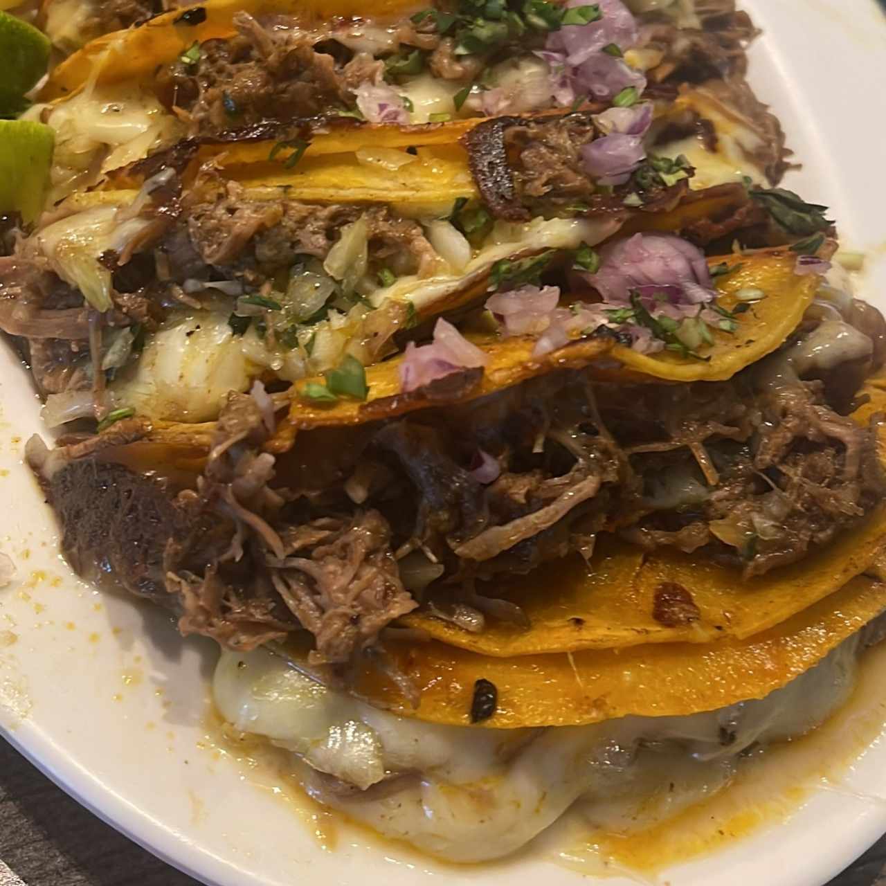 Orden de tacos de birria